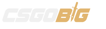 Csgo BIG